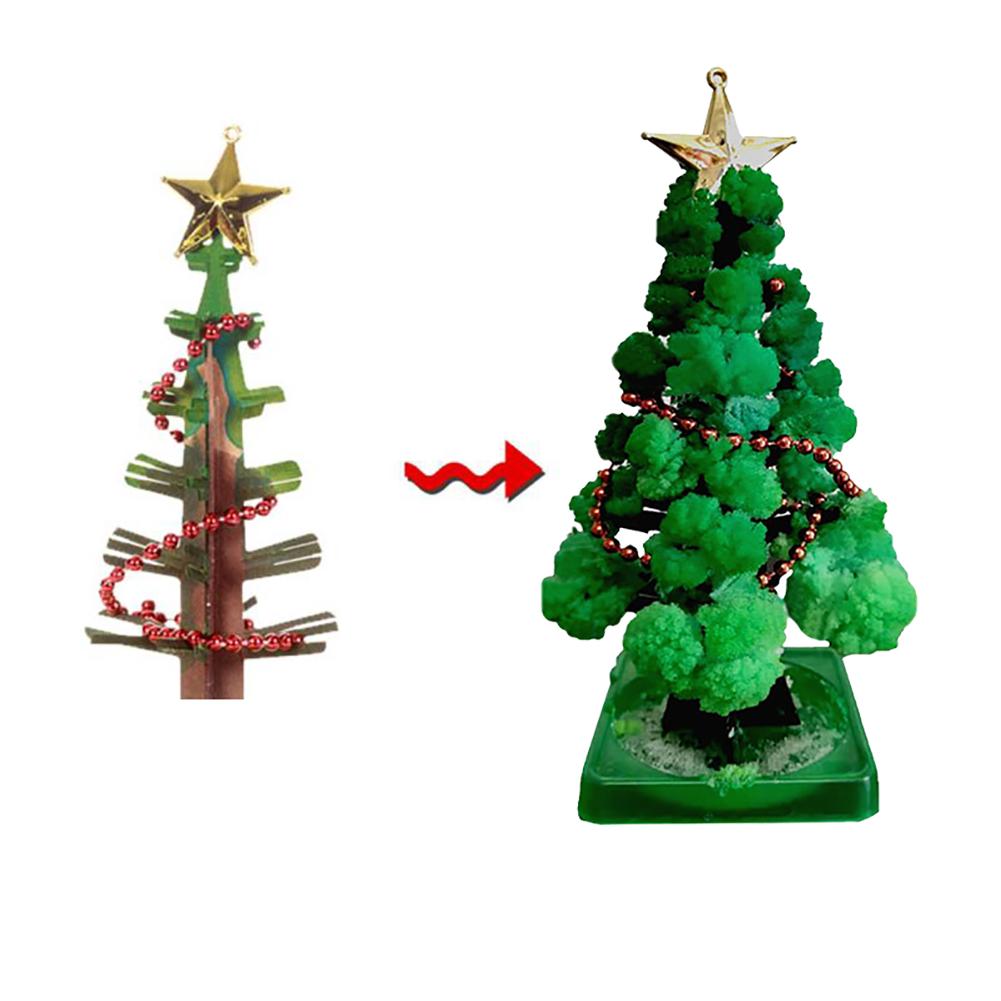 Magic Growing Christmas Tree Kit, perfect educational and seasonal activity for children