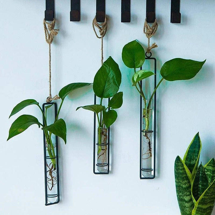 3-piece set of modern hanging glass tube wall planters with metal frames & jute rope for plant propagation & cuttings.