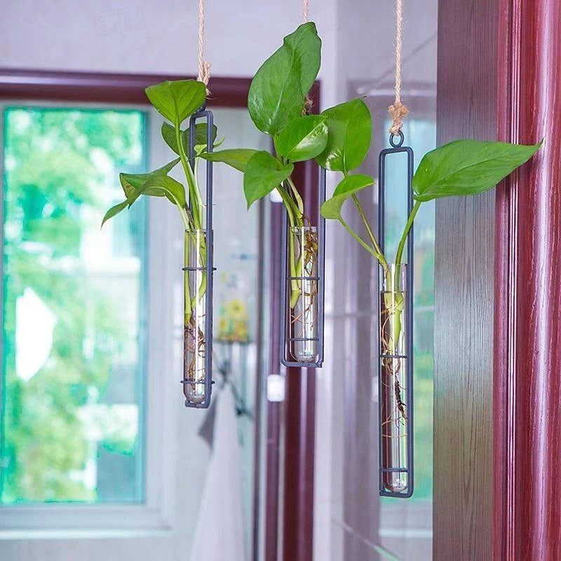 Single glass tube wall planter with sleek metal frame, perfect for propagating plant cuttings in a modern indoor garden.