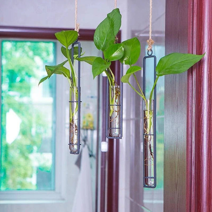 Single glass tube wall planter with sleek metal frame, perfect for propagating plant cuttings in a modern indoor garden.