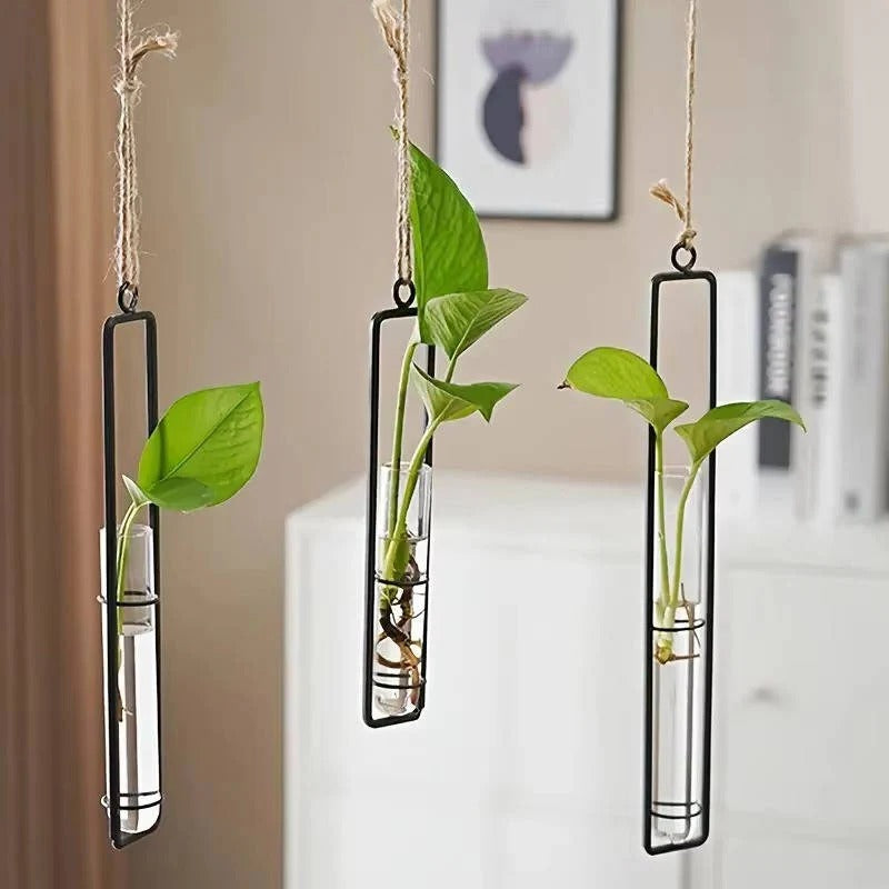 Stylish 3-piece hanging glass planters for wall decor. Modern vertical garden solution for plant cuttings & indoor plants.