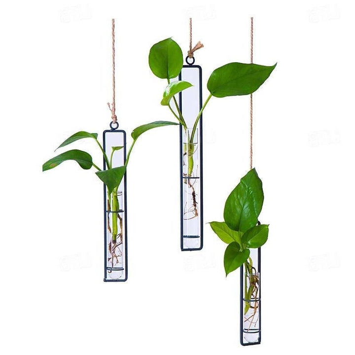 Indoor wall-mounted glass tube planter set for plant propagation. Ideal for rooting cuttings, creating a beautiful vertical garden.