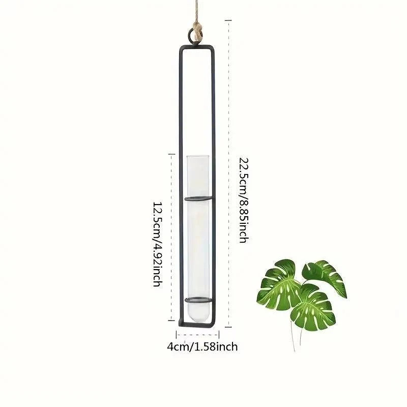 Three glass tube wall planters displaying various plant cuttings in water, enhancing modern home decor & indoor garden.