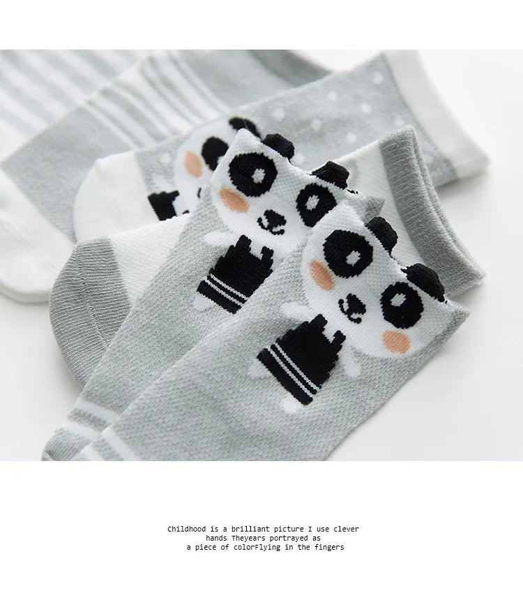 Unisex baby socks, 5-pack white cotton mesh, a versatile addition to baby wardrobe