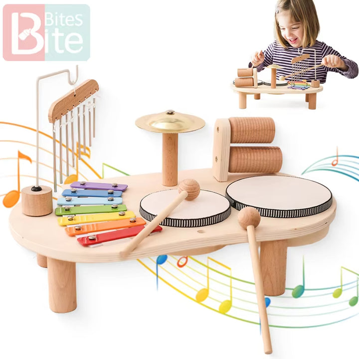 Baby Wooden Musical Sensory Learning Toy Set