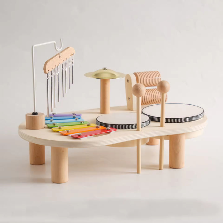 Baby Wooden Musical Sensory Learning Toy Set