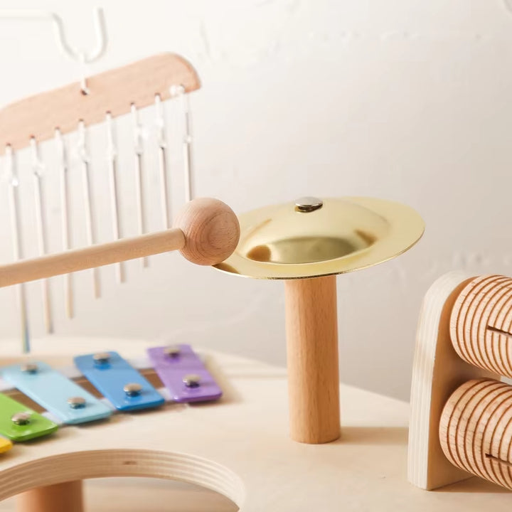 Baby Wooden Musical Sensory Learning Toy Set