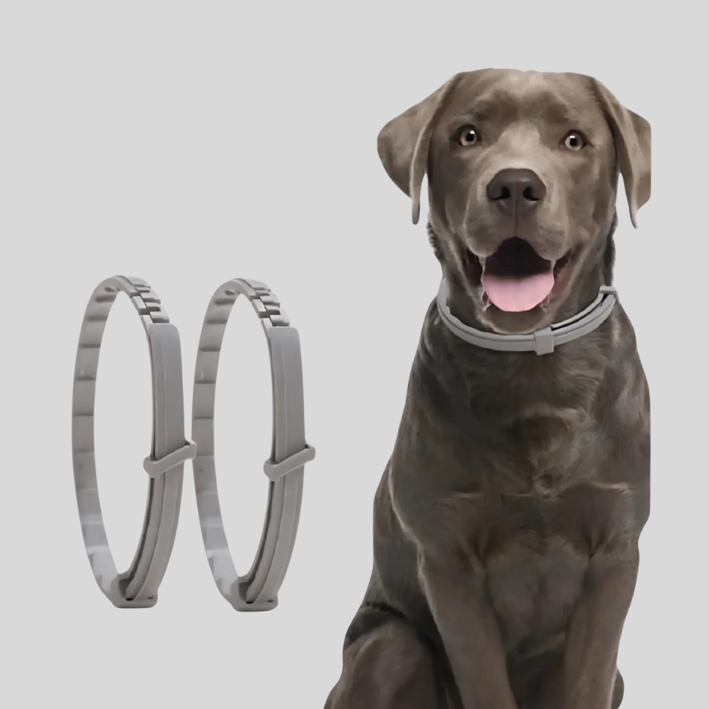 Adjustable, water-resistant pet collar for dogs & cats. Natural, plant-based anti-tick & flea control for outdoor pets.