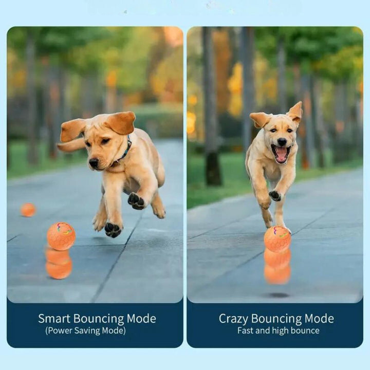 Interactive bouncing chew toy for dogs, waterproof & durable for long-lasting fun.