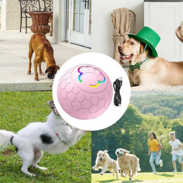 Pet enrichment: automatic bouncing dog toy ball for active play and stimulation.