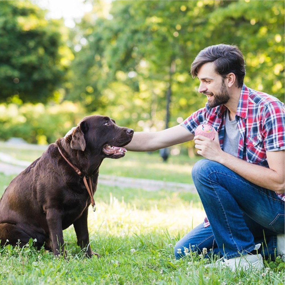 Engaging dog toy ball: waterproof, durable, automatic bounce for interactive fun.