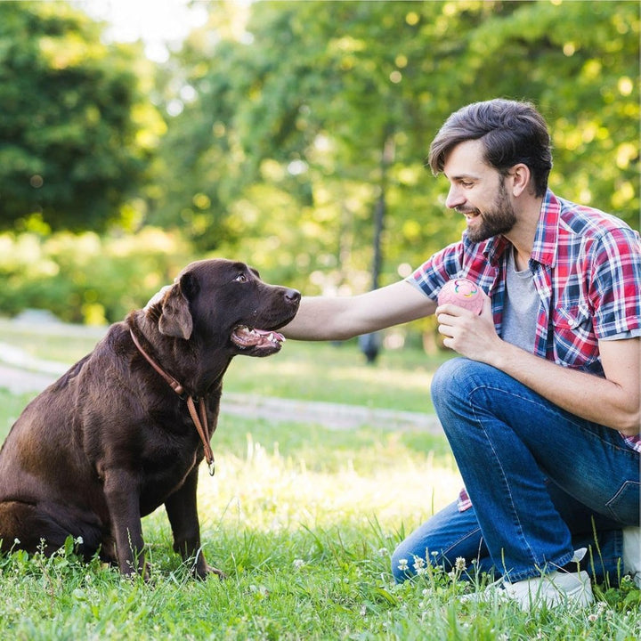 Engaging dog toy ball: waterproof, durable, automatic bounce for interactive fun.