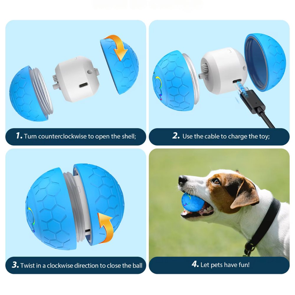 Durable waterproof dog play ball, an interactive bouncing pet toy for all breeds.