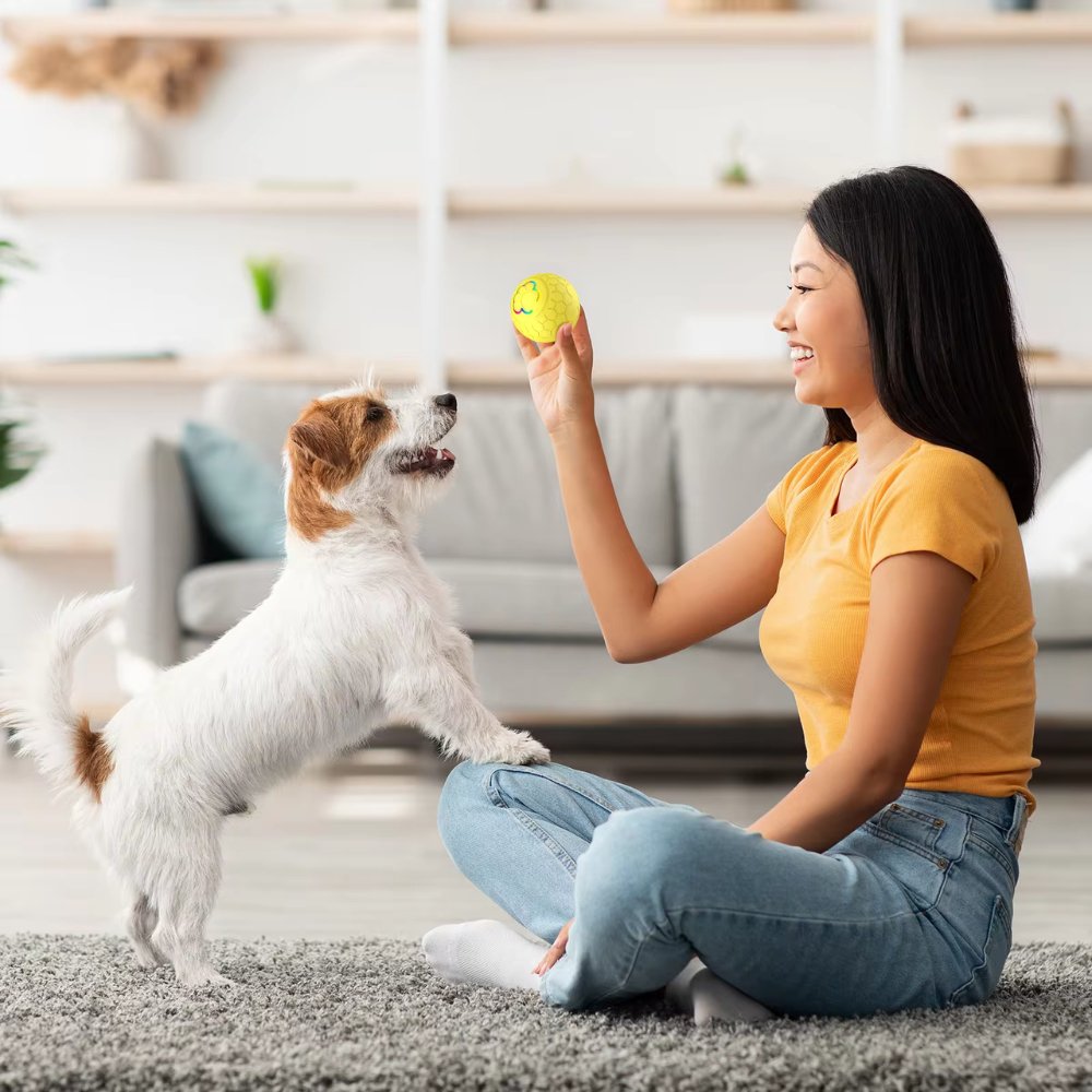 Engaging automatic bouncing dog enrichment toy, suitable for all dogs' playtime.