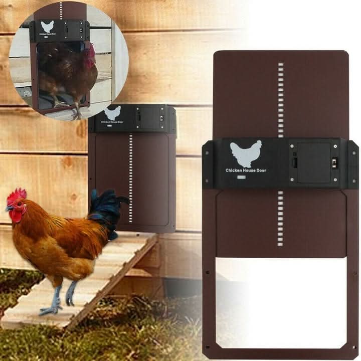Close-up of the daylight sensor on an automatic chicken coop door for timed opening and closing.