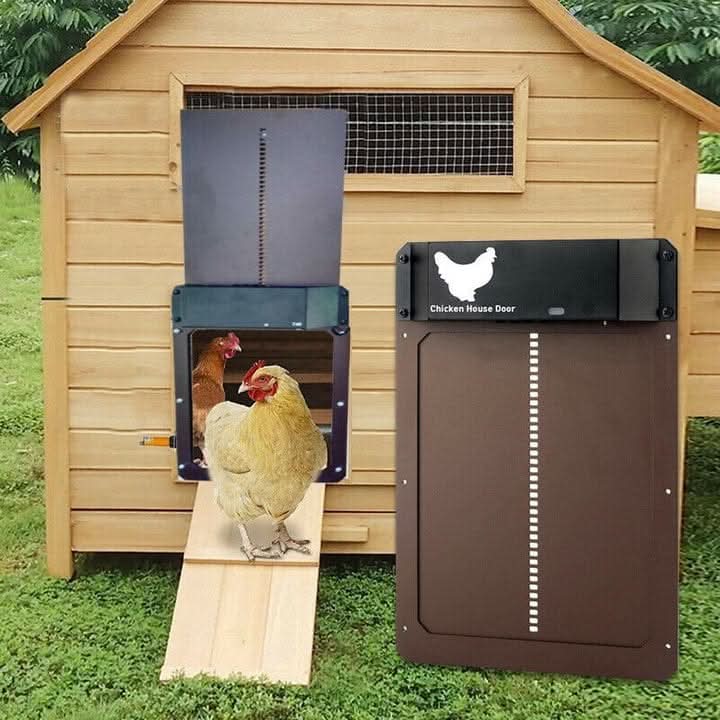 Durable automatic chicken coop door offering predator protection for flock safety in farm supplies.