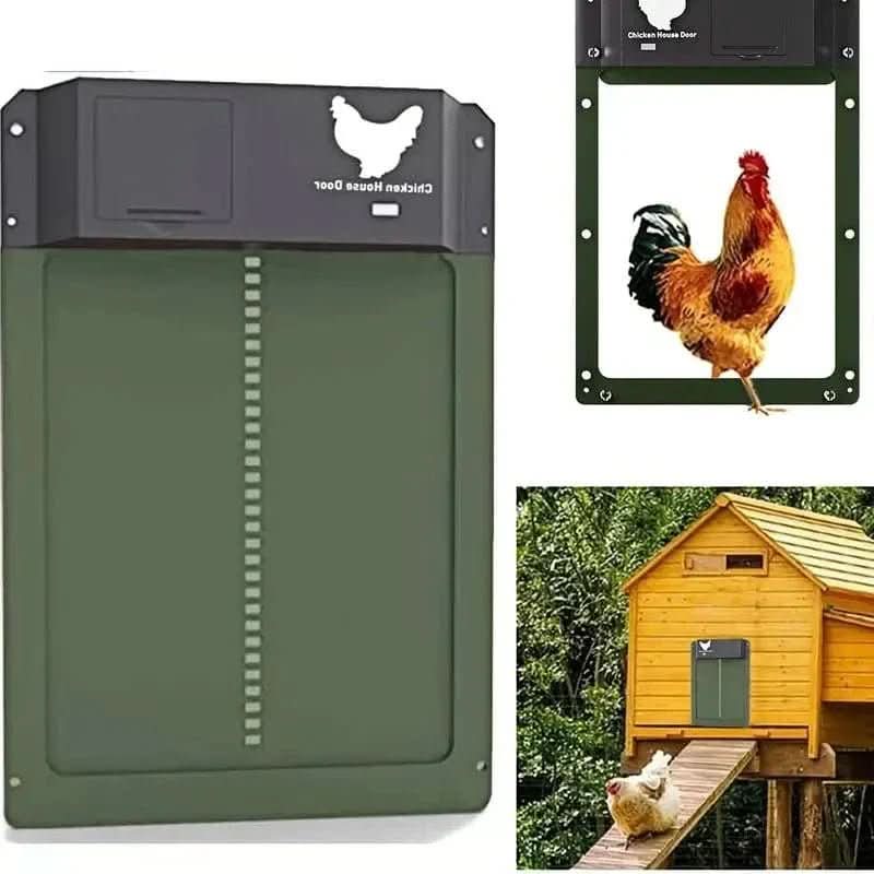 Happy chickens exiting their coop through the automatic door, protected by daylight sensor.