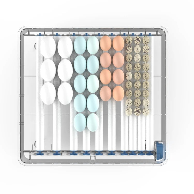 Compact automatic bird incubator for chicken eggs, featuring precise temperature and humidity control.