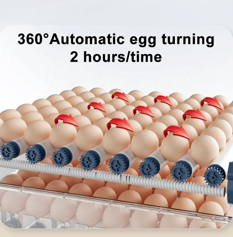 Modern automatic egg incubator, a farm supply with auto egg turning & stable temperature for hatching.