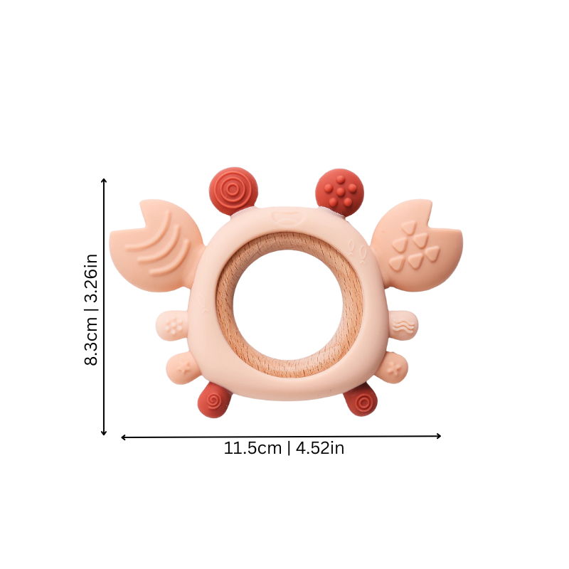 Infant holding organic silicone crab teether toy in orange color for sensory play & soothing gums
