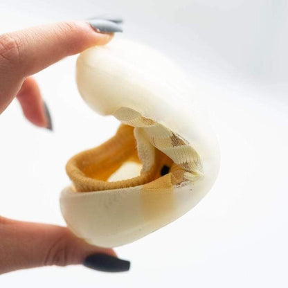 Infant first walker shoe socks, breathable and non-slip silicone sole