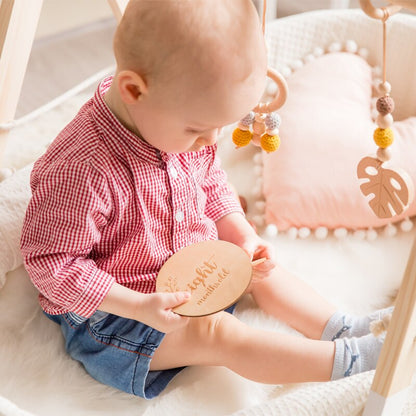 Collection of baby monthly milestone wooden cards, essential baby photo props for capturing growth