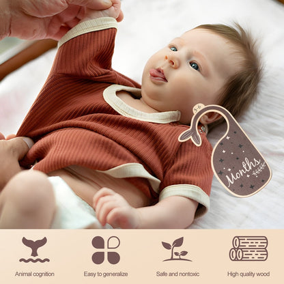 Infant and toddler clothes organizer: wooden cartoon closet dividers with 'Newborn' label
