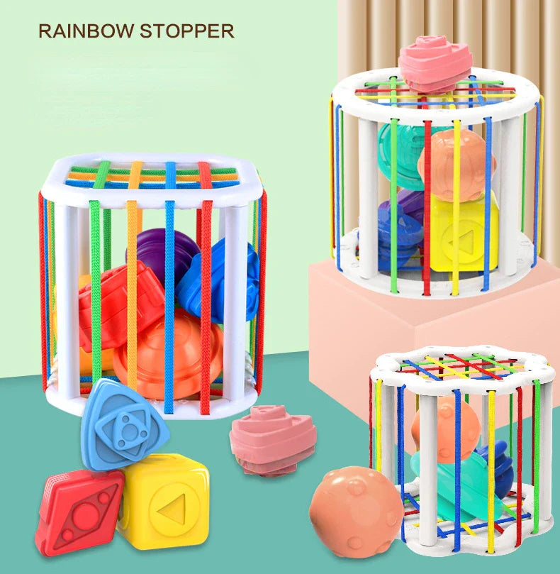Baby playing with Rainbow Shape Sorter, developing cognitive abilities