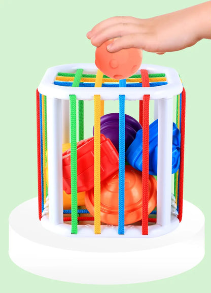 Brightly coloured Baby Rainbow Shape Sorter, an engaging sensory toy