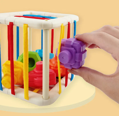 Baby Rainbow Shape Sorter, a foundational toy for geometric shape recognition