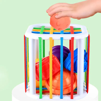 Baby Rainbow Shape Sorter with various shapes, a sensory play item for infants