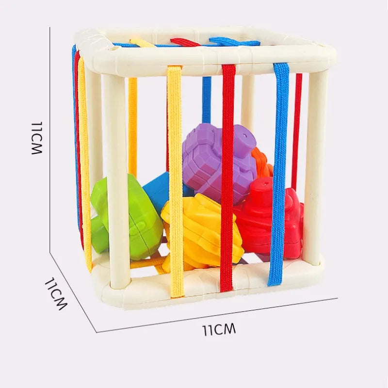 Top-down view of Baby Rainbow Shape Sorter, showcasing geometric shapes