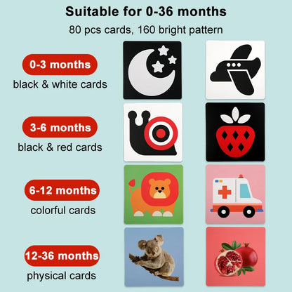 Educational baby toys: a collection of infant vision cards in various black and white patterns