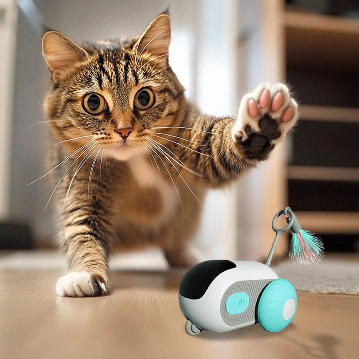 Blue & orange interactive cat chase toy provides automatic fun for felines. Rechargeable pet supply.