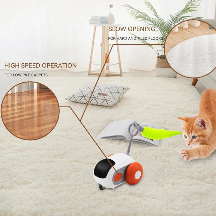 Fun blue & orange interactive cat toy. Automatic & rechargeable for endless feline play & entertainment.