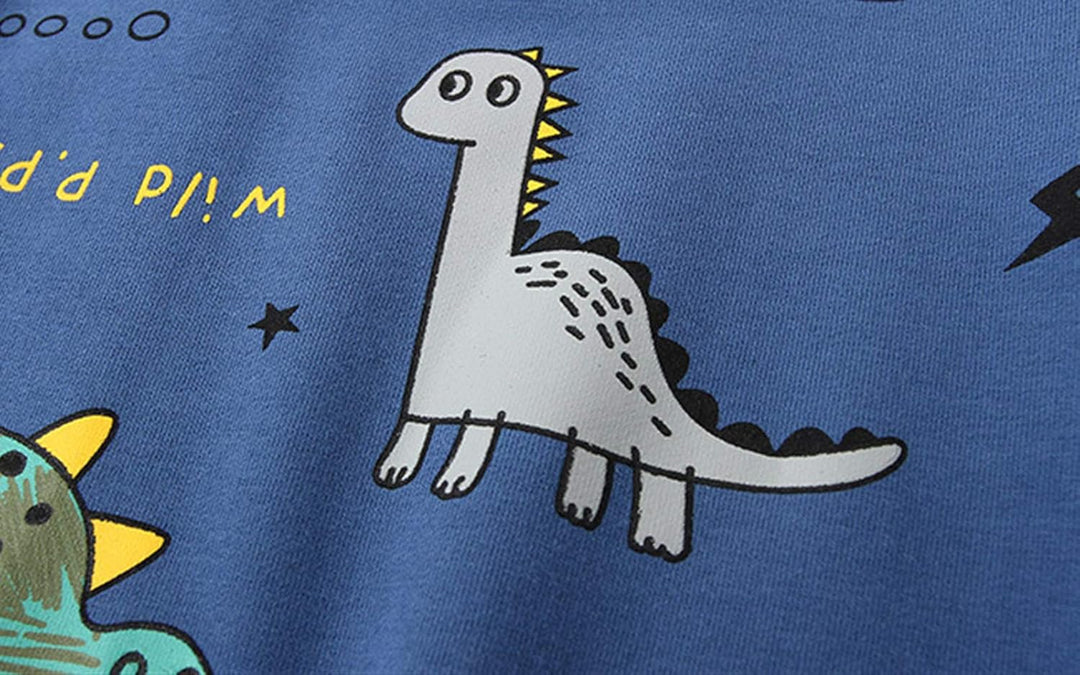 Boys' dinosaur clothing set, perfect for daily wear and playful adventures.