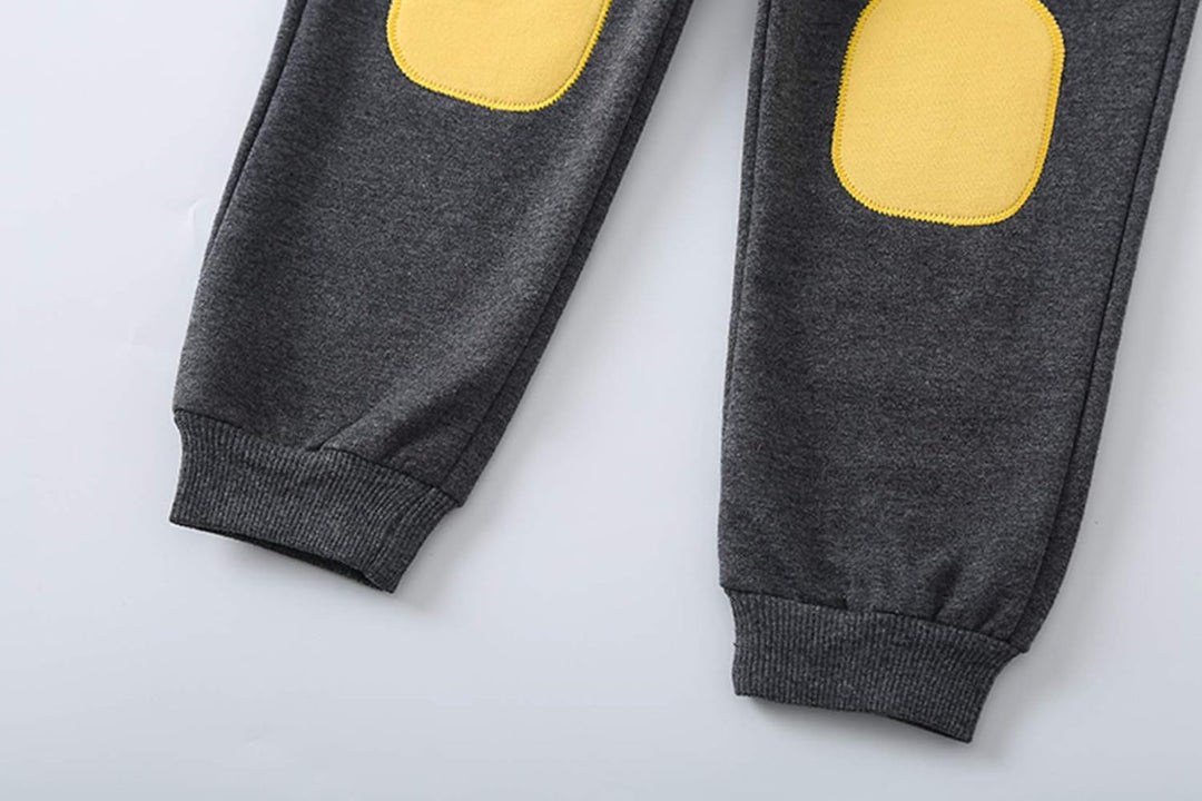 Toddler boys' long sleeve dinosaur playwear, a comfy and stylish matching outfit.