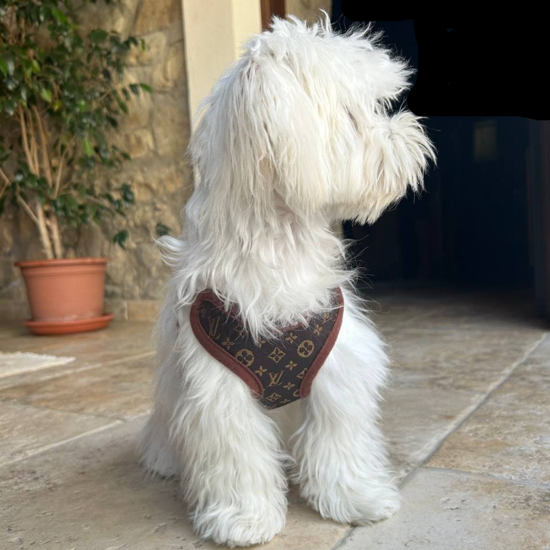 Comfortable brown dog harness vest with breathable mesh, designed for no-pull walks. Adjustable fit.