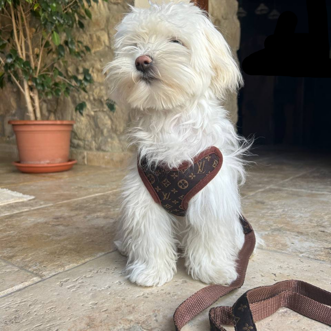 No-pull dog harness and leash set in brown, designed to prevent pulling. Adjustable pet vest for control.