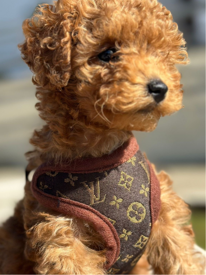 Adjustable brown dog harness and leash set for small to medium dogs, ensuring a comfortable, secure fit.