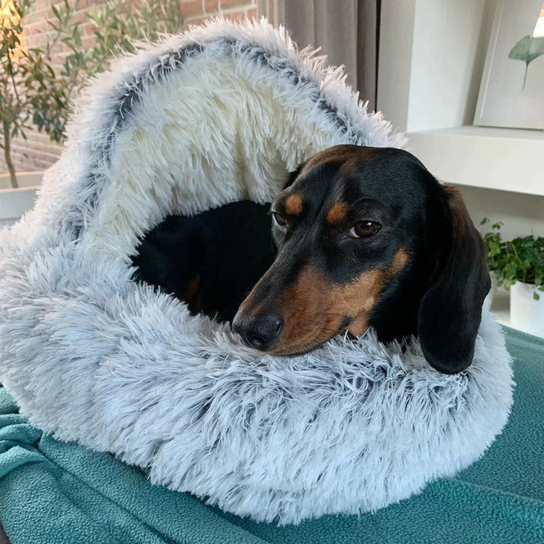 Dog bed designed for pet anxiety relief. Cozy cave promotes deep sleep & comfort for stressed dogs.