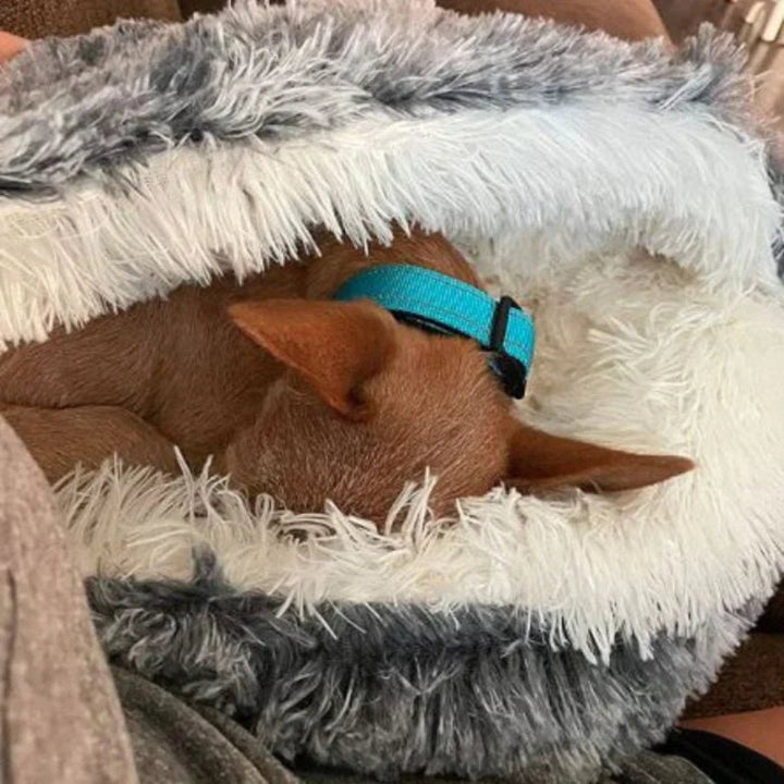 Washable calming dog bed, a cozy pet cave providing ultimate comfort & a safe haven for deep sleep.