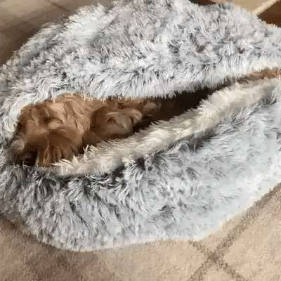 Interior view of a soft calming dog bed. Cozy cave design promotes deep sleep & pet anxiety relief.