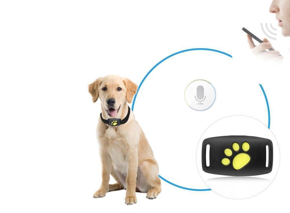 Durable & lightweight GPS tracker for cats, waterproof, real-time safety, easy to use, rechargeable.