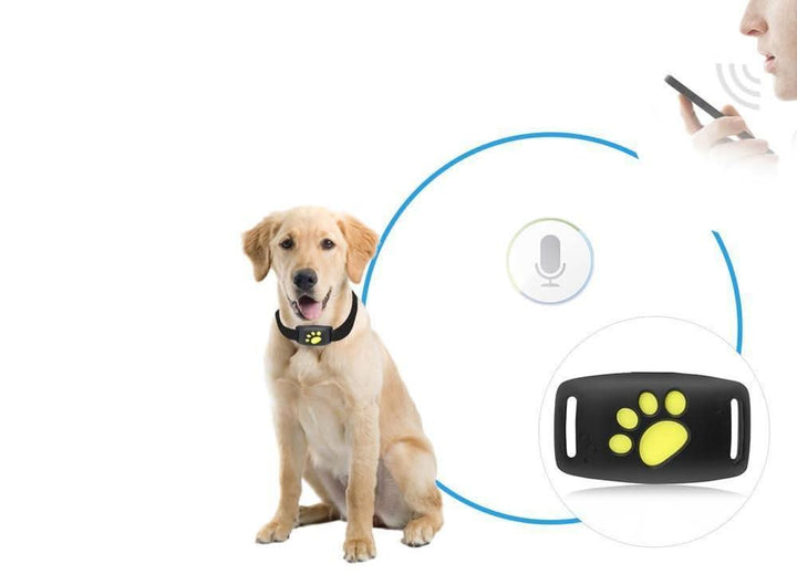 Durable & lightweight GPS tracker for cats, waterproof, real-time safety, easy to use, rechargeable.