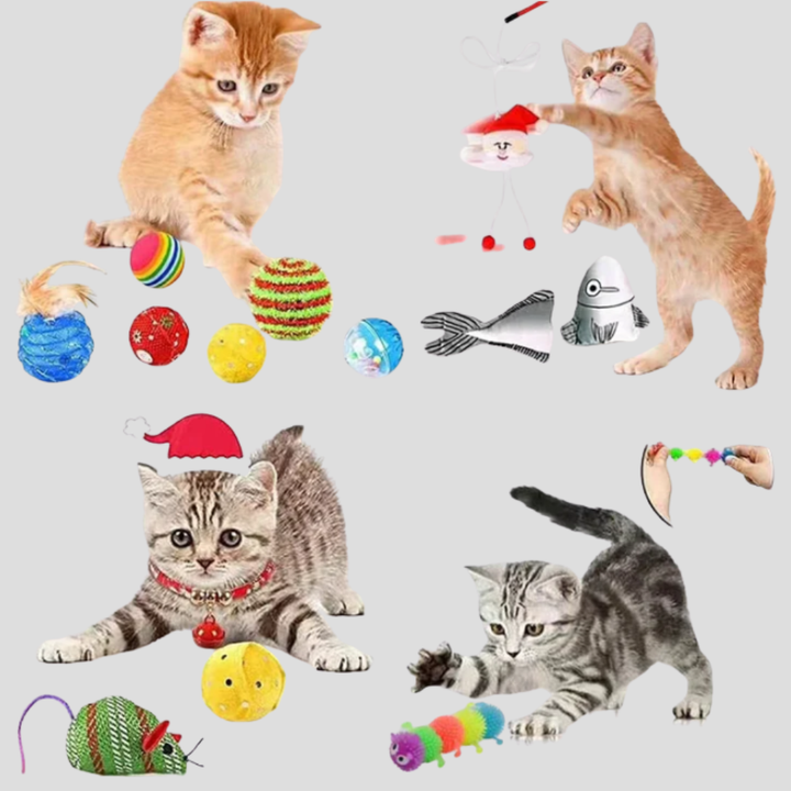 Interactive Cat Toy Advent Calendar, a perfect Christmas gift for adult cats & kittens. Daily pet supplies.