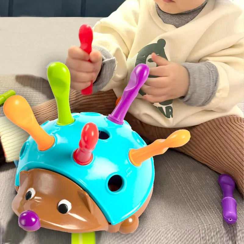 Sensory motor skill hedgehog toy, a fun and interactive learning aid for toddlers