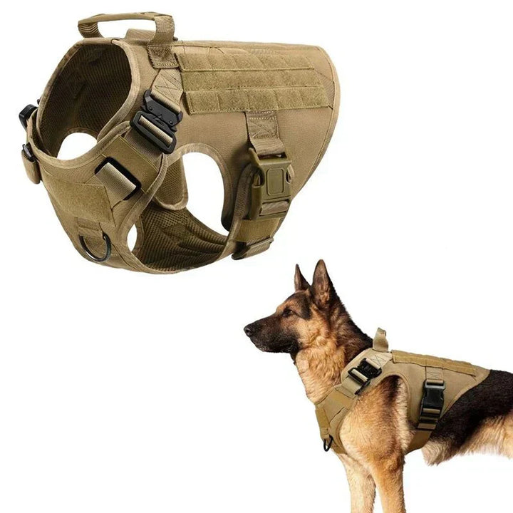 No-pull dog harness for better control during dog walking & training. Comfortable, adjustable pet gear in green.