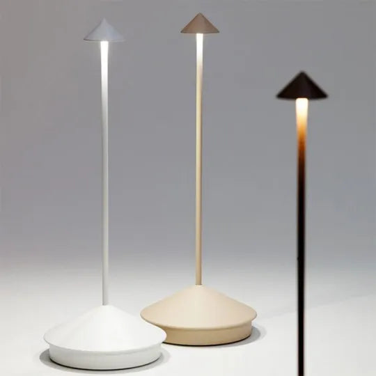 Cordless rechargeable LED accent lamp for modern indoor & outdoor lighting, portable table lamp.