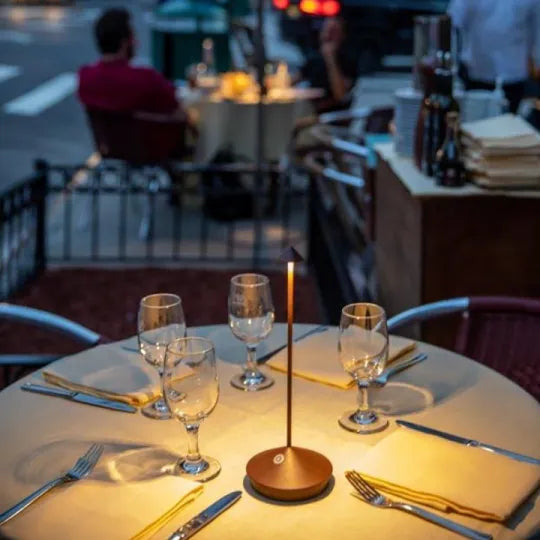 Versatile cordless LED lamp, great for tables, patios, or any portable accent lighting need.